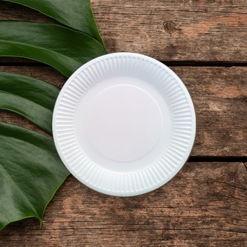 Talerz papierowy talerzyki na grilla ciasto średnica 23 cm 100 szt.