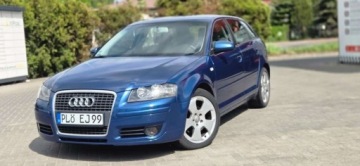Audi A3 8P Hatchback 3d 1.9 TDI 105KM 2004 Audi A3 Sportback 1,9TDI 105 KM Alu Klima Import Raty Oplaty ASO 1.9, zdjęcie 2