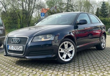 Audi A3 8P Hatchback 3d 1.4 TFSI 125KM 2008