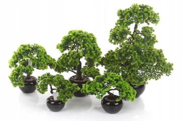 BONSAI LARCH 70 дерево, лиственница, керамическое покрытие
