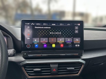 Cupra Formentor Crossover 2.0 TSI 310KM 2023 Cupra Formentor 2.0 TSI 310KM 4Drive Audio System, zdjęcie 25