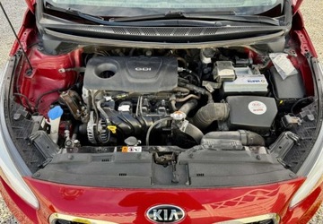 Kia Ceed II Kombi Facelifting 1.6 GDI 135KM 2016 Kia Ceed Kia Ceed Ceex27d 1.6 GDI L Business Line DCT 1.6 Benzyna 135KM, zdjęcie 36