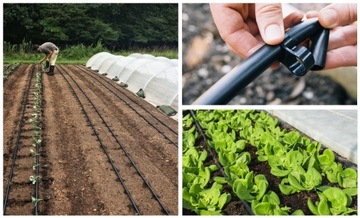 Капельная линия 16мм 33см 100м с компенсацией