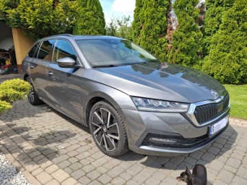 Skoda Octavia IV Kombi 2.0 TDI 150KM 2023 Skoda Octavia Kombi 2023 r 2.0 TDI 150 KM Salon PL