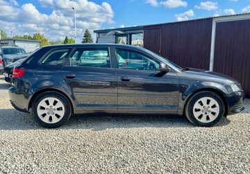 Audi A3 8P Hatchback 3d 1.6 102KM 2008 Audi A3 Sportback 1.6 MPI 102KM skory PDC cliamtronic tempoamt alu grzane, zdjęcie 11