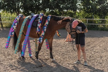 Horsemania - Столбы, безопасные препятствия для лошадей 10х5см 3,3м