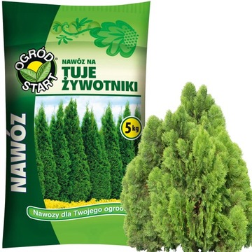 NAWÓZ NA TUJE ŻYWOTNIKI 5kg AM SPECJALNY do iglaków pod iglaki do tui cisów