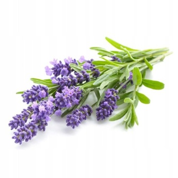 СОЛЬ ДЛЯ ВАНН С ЛИМОННО-ЛАВАНДОВЫМ МАСЛОМ 2,8 КГ