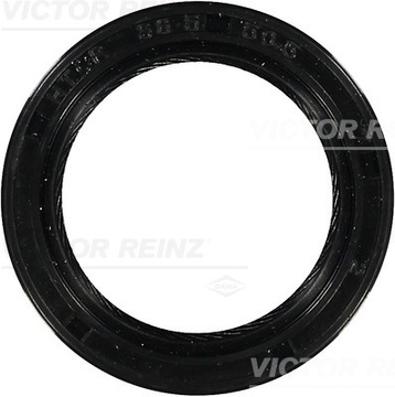 81-53253-00 REINZ GUFERO