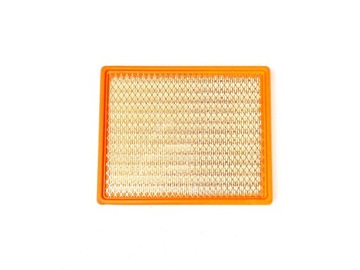 Filtr powietrza Seagway Villain Fugleman