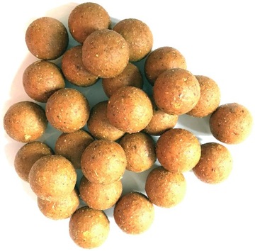 Kulki proteinowe STARBAITS Sweet Corn 20mm 1kg