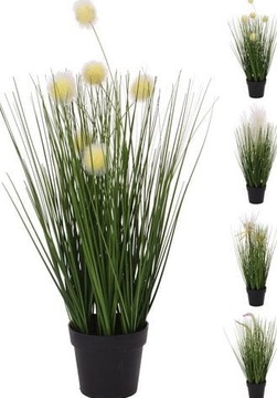 Trawa ozdobna w osłonce 26cm 882216