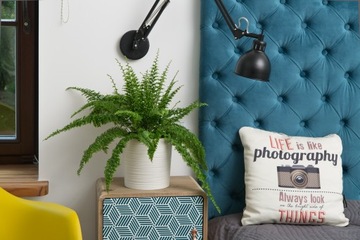 Горшок для цветов Malwa Dłuto 250 Ламела 5 цветов + вставка