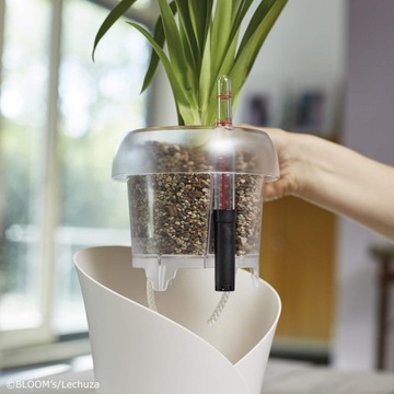 PODŁOŻE DO STORCZYKÓW LECHUZA ORCHIDPON 6L