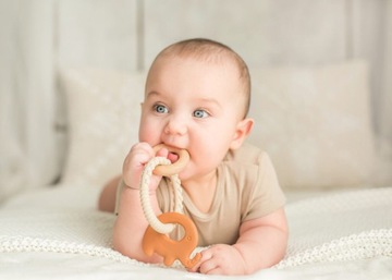 Dumel Gryzak Pierścień Słoń Drewno Silikon 0+