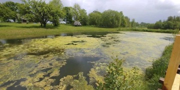Удаляет ил, водоросли, осадок из прудов и прудов - 1л.