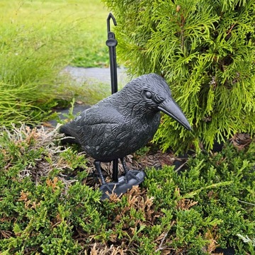 ПЛАСТИКОВЫЙ ВОРОН – ЭФФЕКТИВНЫЙ ОТПУСКАТЕЛЬ ДЛЯ МАЛЕНЬКИХ ПТИЦ