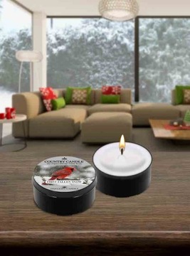 Daylight świeczka First Fallen Snow Country Candle