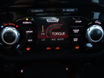 Nissan Juke I SUV Facelifting 1.2 DIG-T (Euro 6) 115KM 2016 Nissan Juke 1.2 DIG-T, Salon Polska, Serwis ASO, zdjęcie 17