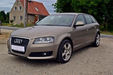 Audi A3 8P Hatchback 3d 1.8 TFSI 160KM 2010 Audi A3/Navi/Bose/Mega Stan/Zarejestrowany