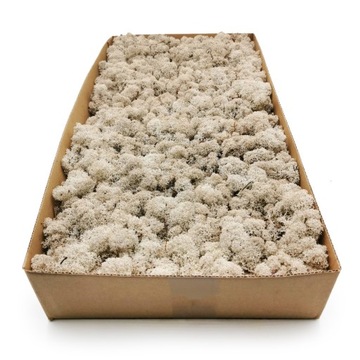 Mech chrobotek fiński 500g netto