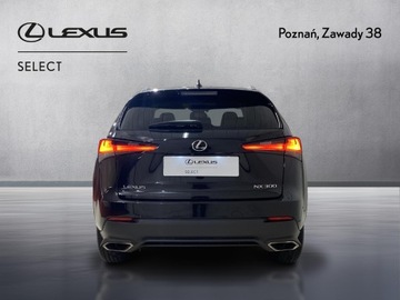 Lexus NX I SUV Facelifting 300 238KM 2021 Lexus NX 300 F Impression AWD I (2014-2021) Lexus, zdjęcie 6