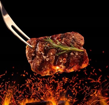 ГРИЛЬ Посуда АКСЕССУАРЫ НОЖИ ЩИПЦЫ ЧЕХОЛ 9 В 1