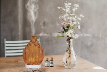 Профессиональный масляный диффузор AROMA FOLK ECO