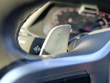 BMW X6 G06 M SUV 3.0 M50d 400KM 2020 BMW X6 M50D, Salon PL, FV23%, Bezwypadkowy, Serwisowany, Pełna opcja, zdjęcie 31