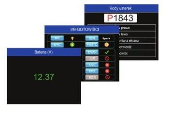Vident iEasy310Pro, ручная самодиагностика Чехия, Словакия