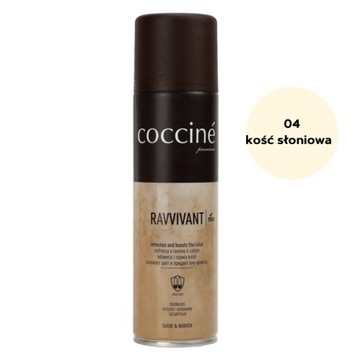 COCCINE RENOWATOR DO ZAMSZU KOŚĆ SŁONIOWA / FARBA