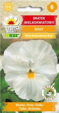 Bratek wielkokwiatowy biały Piękne Kwiaty NASIONA