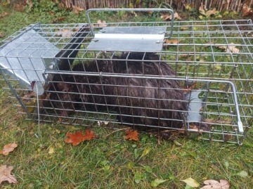 Ловушка против куниц, мышей, крыс Green Paw 2 кг