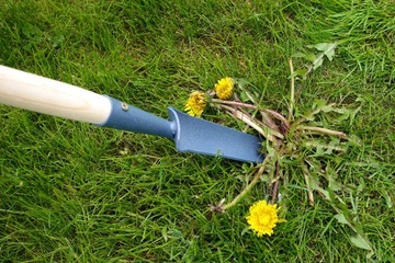 2x СЪЕМНИК, подрезчик, СКРЕБОК ДЛЯ УДАЛЕНИЯ СОРЬНИКОВ, ОДУВАНЧИКОВ, МХА ИЗ СОЕДИНЕННОГО КУБИКА