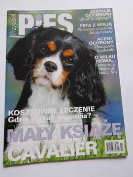 Przyjaciel Pies magazyn Cavalier nr 10 2016