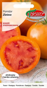 Nasiona Pomidor wysoki Zlatava 0,2g - Torseed