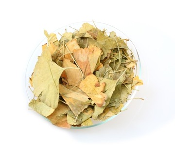 Zioło Miłorząb dwuklapowy (GINKGO BILOBA) liść (25g)