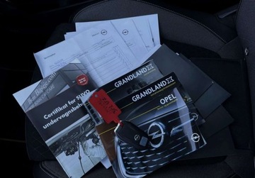 Opel 2019 Opel Grandland X 2.0 CDTI 177 KM automat BEZWYPADKOWY gwarancja ZAREJES, zdjęcie 35