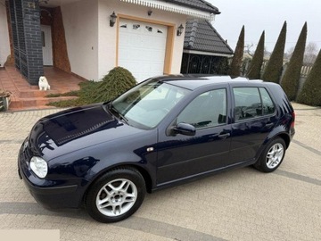 Volkswagen Golf IV Hatchback 1.6 100KM 1999 Volkswagen Golf 1.6 Basis 100KM 1999r, zdjęcie 8