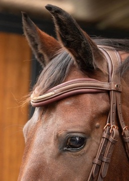 Уздечка ГАРРИ BOMBASTIC черная [R: Полная]