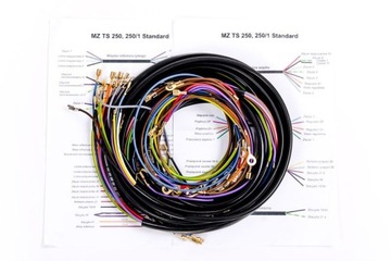 INSTALACJA ELEKTRYCZNA MZ TS 250 250/1