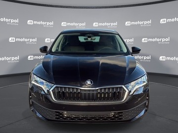 Skoda Octavia IV 2025 Skoda Octavia Edition 130 Essence 1.5 TSI 115 KM, zdjęcie 1