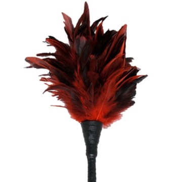 Pipedream Fetisch Fantasy Series Frisky Feather Duster Red