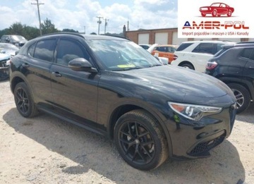 Alfa Romeo Stelvio 2021 Alfa Romeo Stelvio 2021 2.0l 2.0 Benzyna 280KM