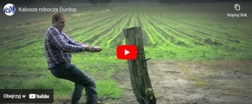 Kalosze bezpieczne DUNLOP Protomastor 142YP żółte - S5 SRA r. 40