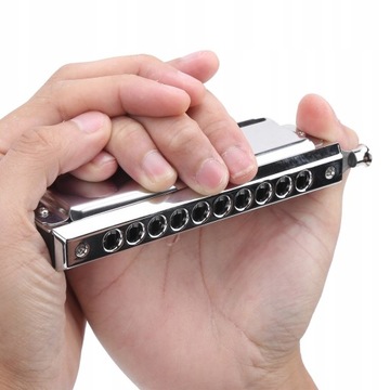 Хроматическая гармошка с 10 отверстиями