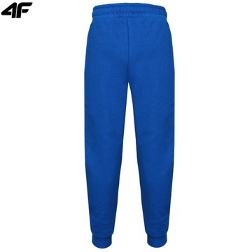 ДЕТСКИЕ СПОРТИВНЫЕ БРЮКИ 4F ДЛЯ МАЛЬЧИКОВ НА КАЖДЫЙ ДЕНЬ