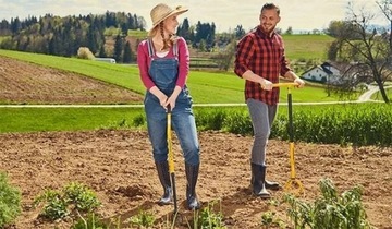 TORNADICA КУЛЬТИВАТОР ГРАБЛИ НАБОР МОТЫЛКИ 4 ШТ.