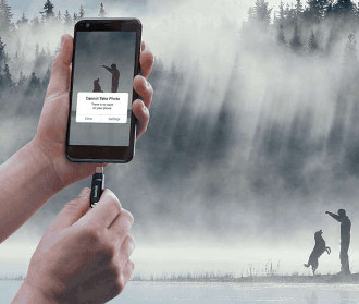 Флеш-накопитель SANDISK Dual Drive Go USB-C 256 ГБ, 150 МБ/с