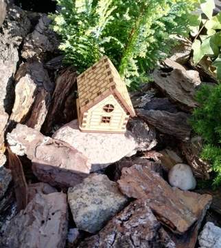 Лес в банке Домик Мини лес в стекле